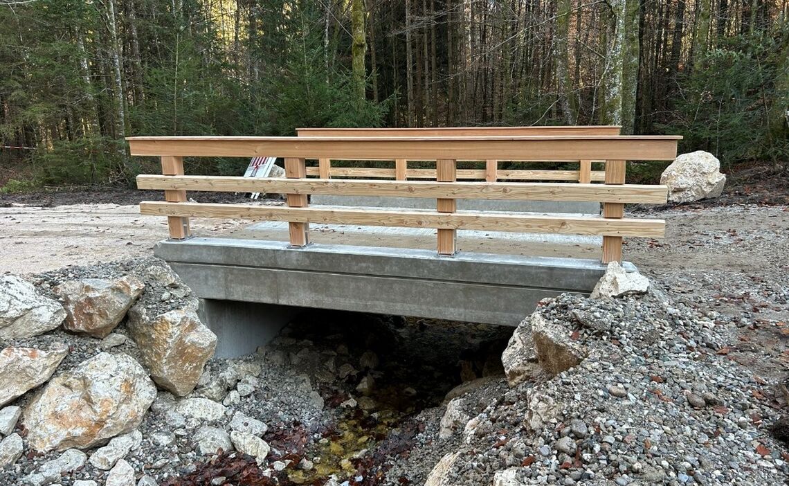 Bruecke Fuchsreut Mit Holzgelaender Klein