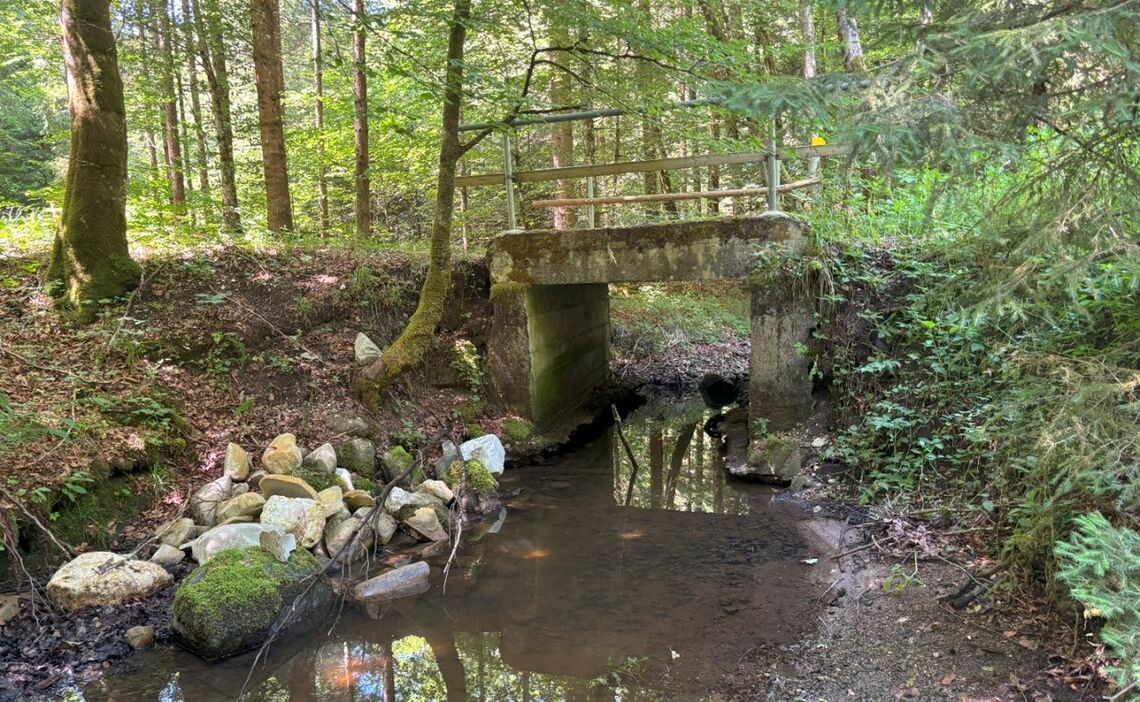 Degenbachbruecke Bei Fuchsreut Bestand Klein Img 4985 1