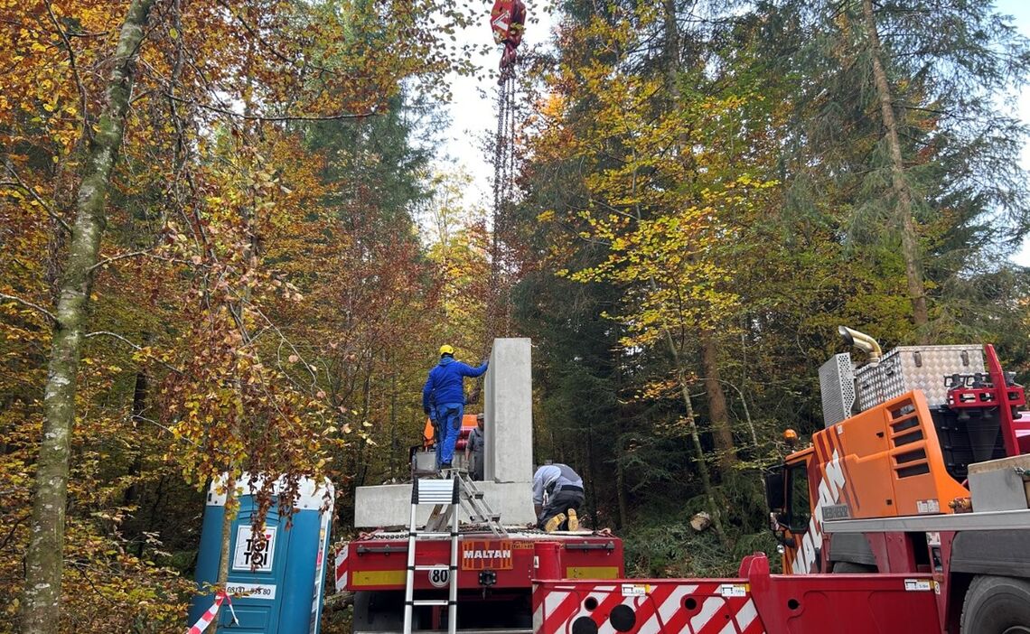 Degenbachbruecke Bei Fuchsreuth Img 4072 Klein