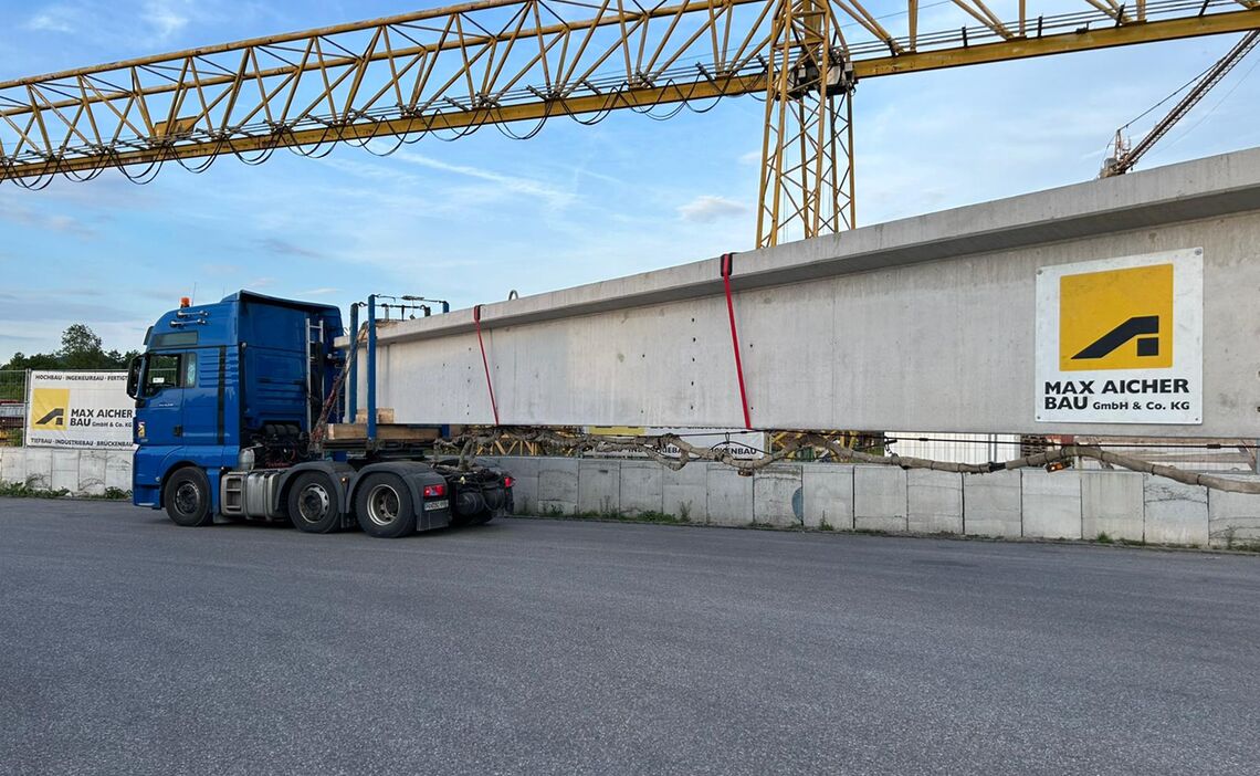 Hangbruecke Wiesberg Strengen Dgiv0671