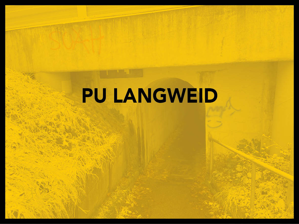 PU Langweid