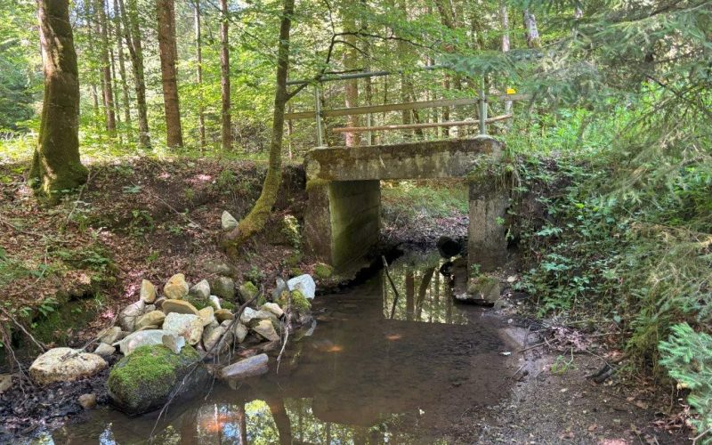 degenbachbruecke-bei-fuchsreut-bestand-klein-img-4985-1